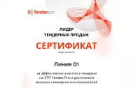 О вручении сертификата «Лидер тендерных продаж» 2025 в Хабаровске 